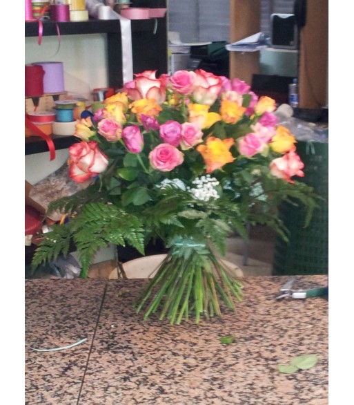 rose miste
